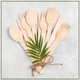 Wooden Spoons - 100pcs